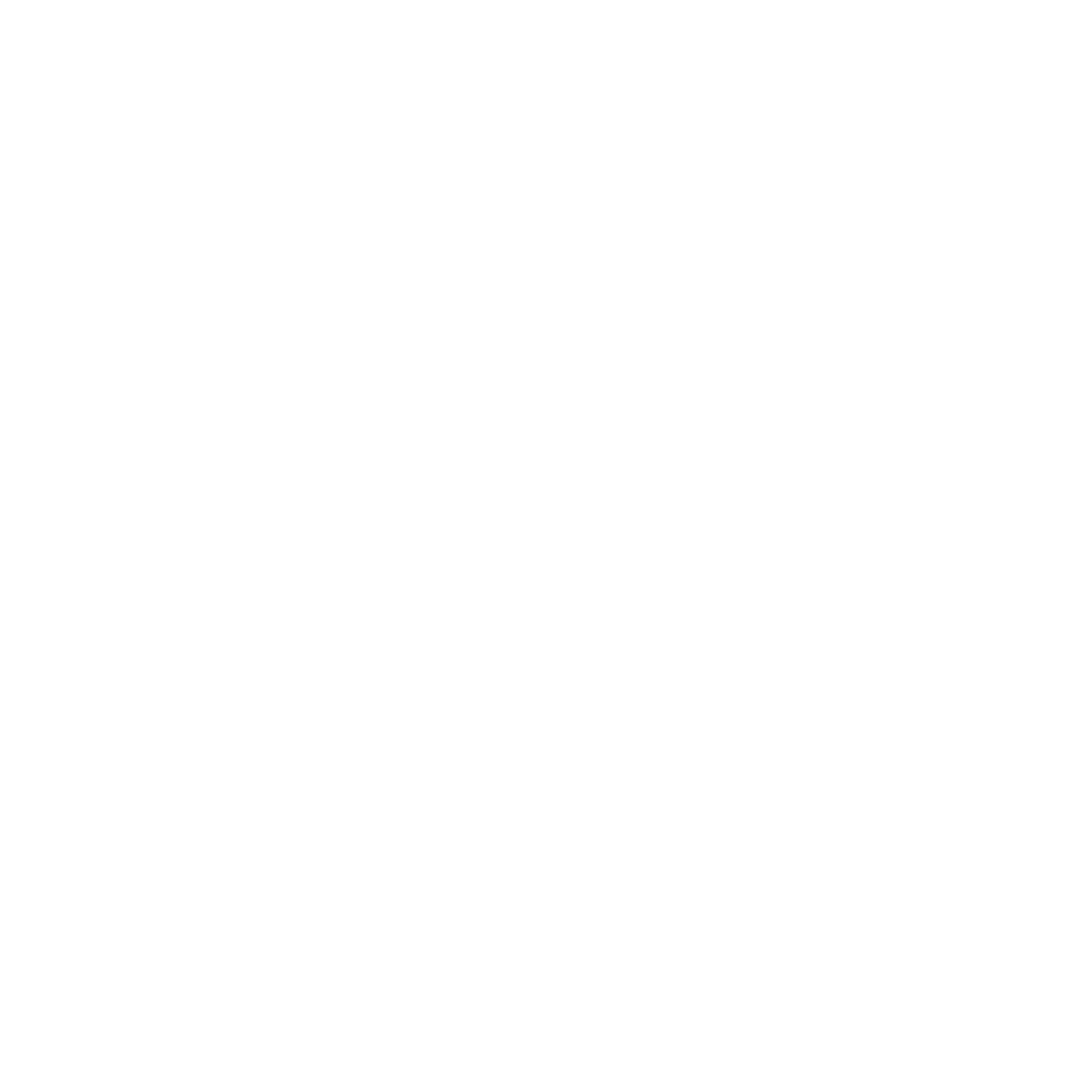 SLN Infrastructure Logo